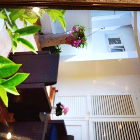 Apartmani Trubi 1 Vodice Exterior foto