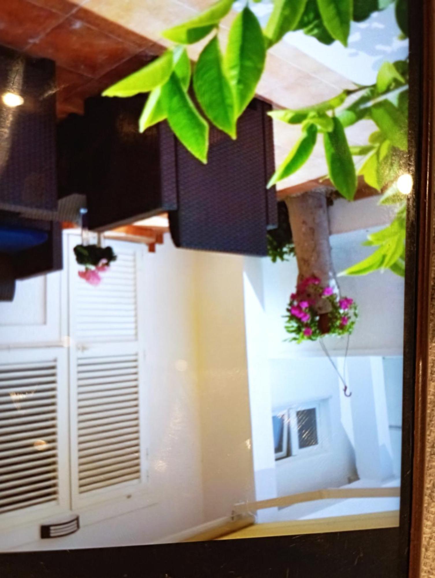Apartmani Trubi 1 Vodice Exterior foto